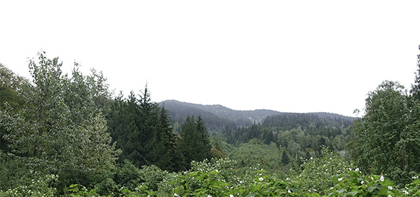 Are organic skincare products better for your skin?